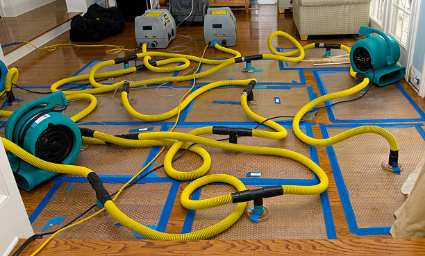 Professional Structural Drying And Dehumidification technician working in Clare, IL